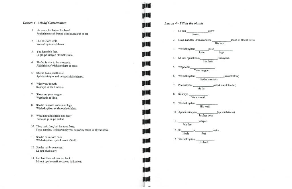 MRC - Conversational Michif for Beginners 2002