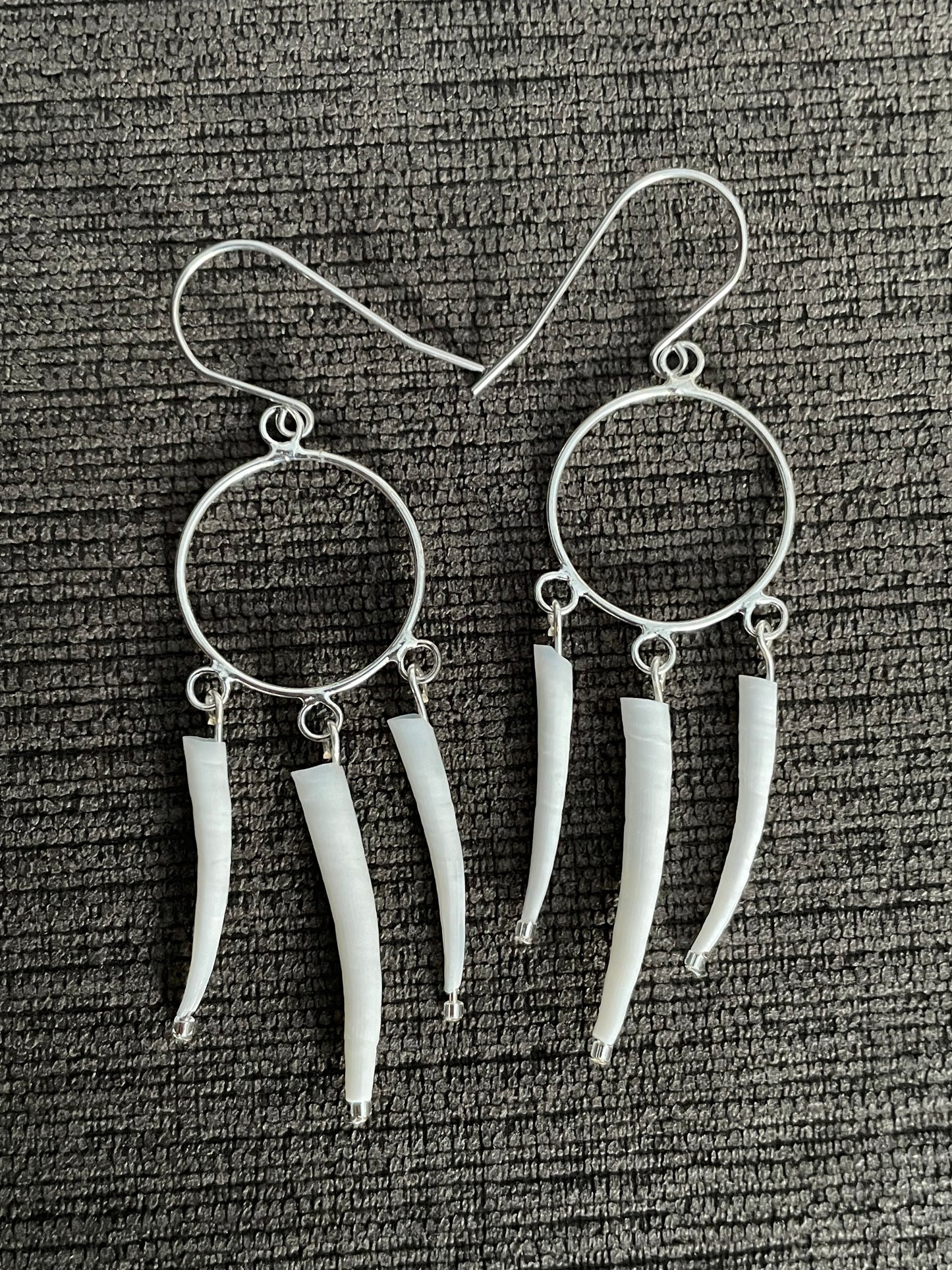 Dentalium shell earrings