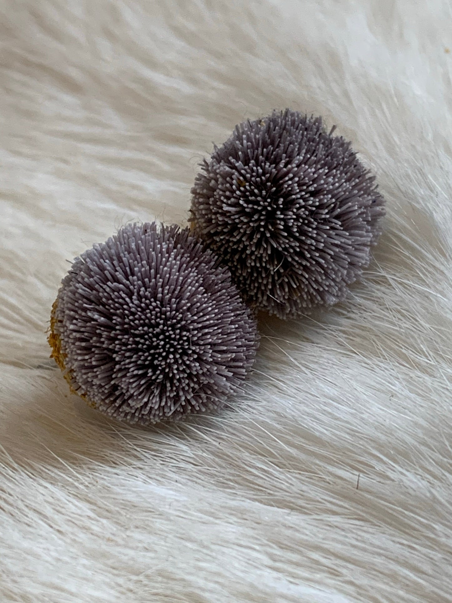 Caribou tuft stud earrings