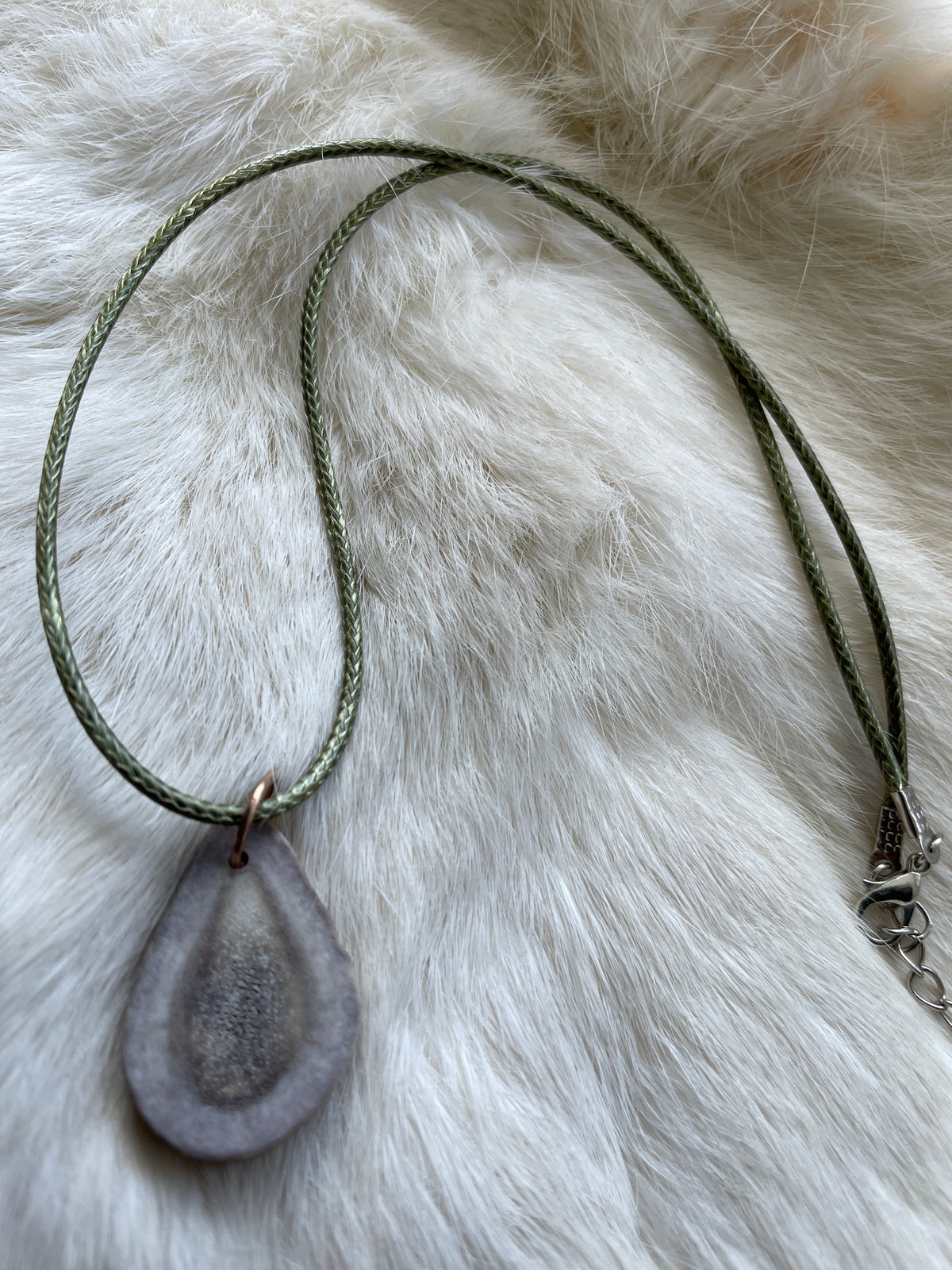ANTLER (Elk, antelope, whitetail, or caribou)
