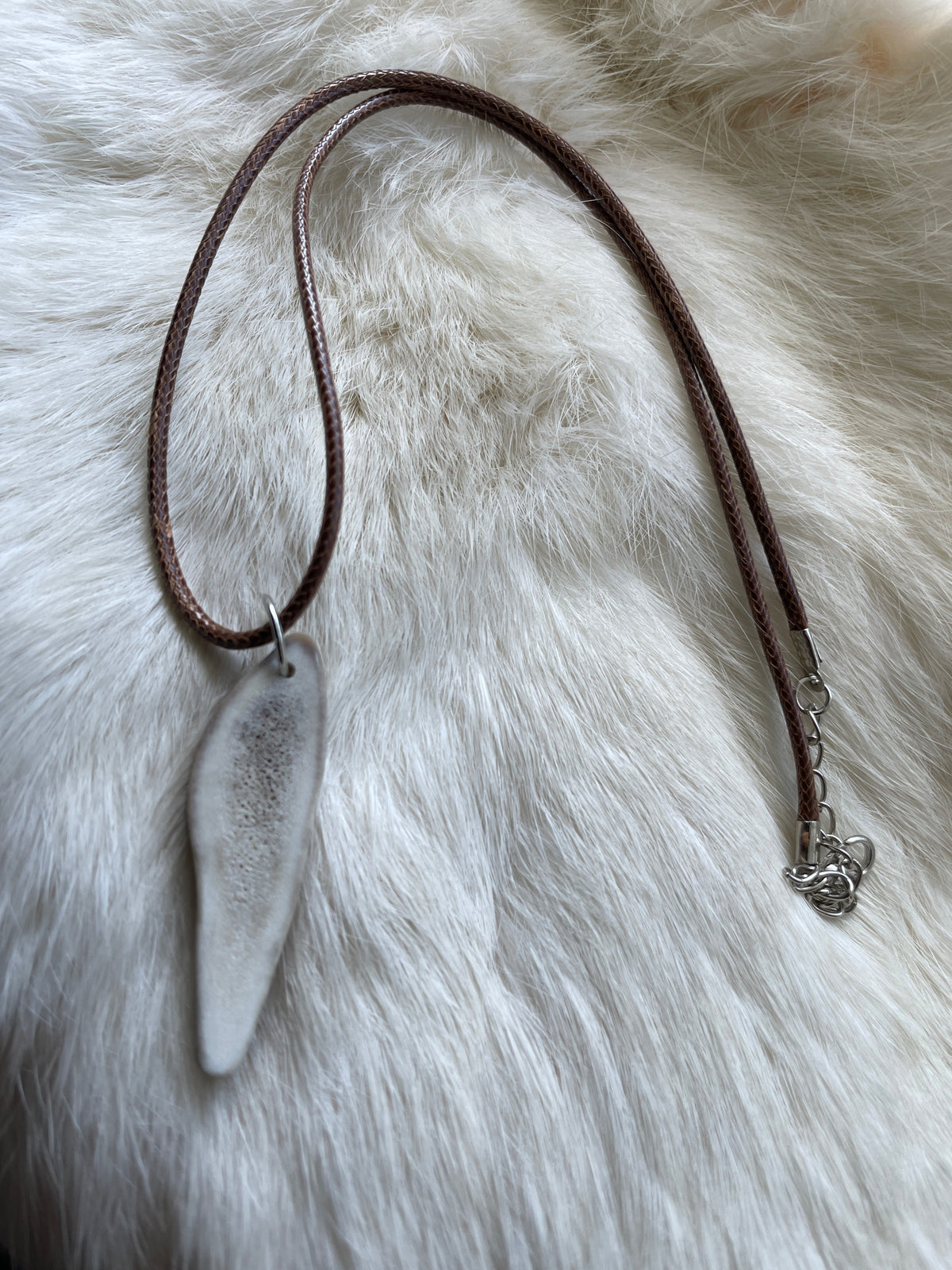 ANTLER (Elk, antelope, whitetail, or caribou)